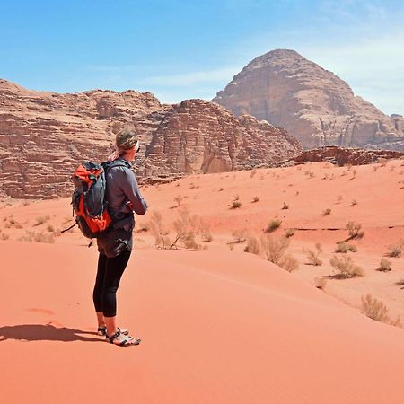 Wadi Rum Fig Tree Camp ภายนอก รูปภาพ